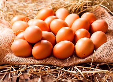 A importância das pesquisas para a evolução do mercado de ovos